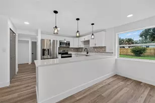 11317 Sylvan Green Ln, Riverview, FL 33569 - Photo 5