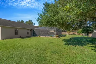 4614 Duxberry Ln, Valrico, FL 33594 - Photo 11