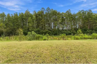 18114 Serene Lake Loop, Lutz, FL 33548 - Photo 23