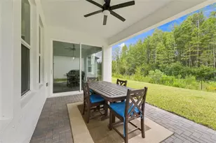 18114 Serene Lake Loop, Lutz, FL 33548 - Photo 21