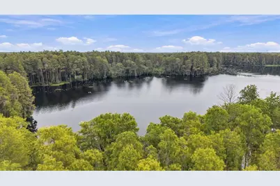 18114 Serene Lake Loop, Lutz, FL 33548 - Photo 29