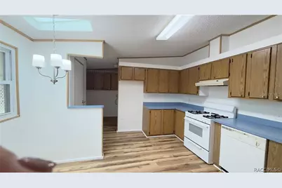 270 S Honey Bear Way, Lecanto, FL 34461 - Photo 3