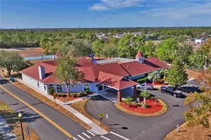 3430 Rosebay Ct, Spring Hill, FL 34609 - Photo 67