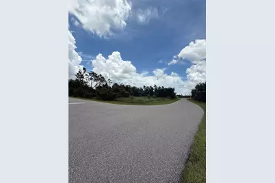 29500 Lillis Street, Punta Gorda, FL 33982 - Photo 3