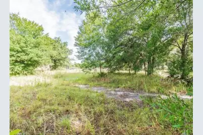 2923 Timberlee Road, Wimauma, FL 33598 - Photo 13