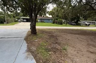 924 Valmar St, Brandon, FL 33511 - Photo 79