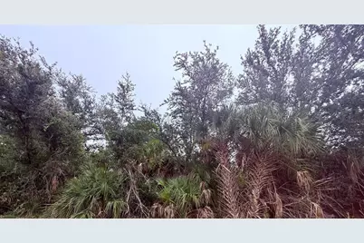 4909 Corsica Drive, Sebring, FL 33872 - Photo 1