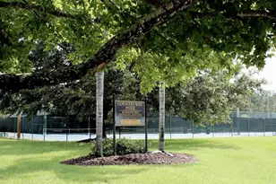 12005 Misty Brook Ct, Tampa, FL 33635 - Photo 47