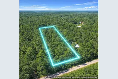 Ne 770th Streets, Old Town, FL 32680 - Photo 5