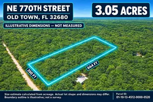NE 770th Streets, Old Town, FL 32680 - Photo 1