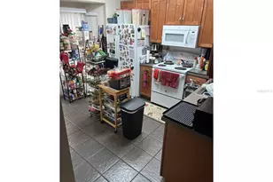 5866 Fishhawk Ridge Dr, Lithia, FL 33547 - Photo 15