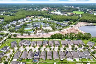18738 Birchwood Groves Dr, Lutz, FL 33558 - Photo 49