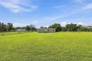4235 Linda Dr Dr, Wesley Chapel, FL 33543 - Photo 35