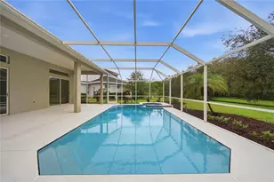 4034 Executive Dr, Palm Harbor, FL 34685 - Photo 39