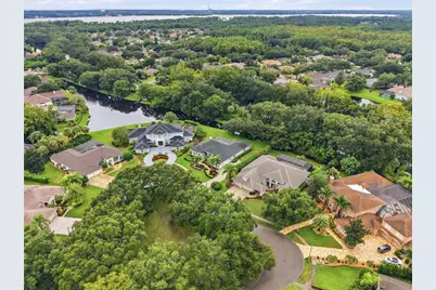 4034 Executive Drive, Palm Harbor, FL 34685 - Photo 43