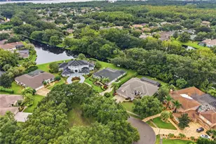 4034 Executive Dr, Palm Harbor, FL 34685 - Photo 43
