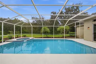 4034 Executive Dr, Palm Harbor, FL 34685 - Photo 41
