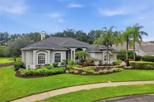 4034 Executive Dr, Palm Harbor, FL 34685 - Photo 3