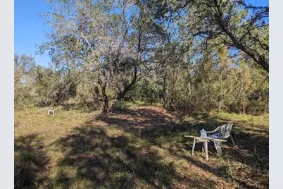 5570 Juel Gill Road, Myakka City, FL 34251 - Photo 5