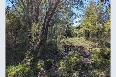 5570 Juel Gill Road, Myakka City, FL 34251 - Photo 3