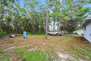 12101 Peregrine Falcon Ave, Brooksville, FL 34614 - Photo 27