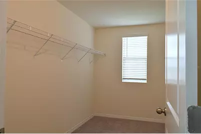 12106 Downy Birch Drive, Riverview, FL 33569 - Photo 23