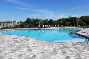 12106 Downy Birch Dr, Riverview, FL 33569 - Photo 41
