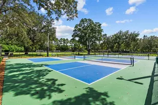 3553 Florian Terrace, Palm Harbor, FL 34685 - Photo 67
