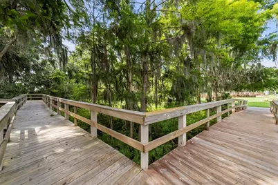 3553 Florian Terrace, Palm Harbor, FL 34685 - Photo 75