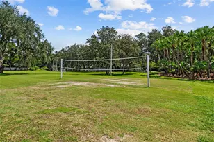 3553 Florian Terrace, Palm Harbor, FL 34685 - Photo 69