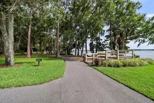 3553 Florian Terrace, Palm Harbor, FL 34685 - Photo 79