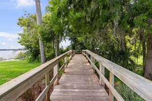 3553 Florian Terrace, Palm Harbor, FL 34685 - Photo 75