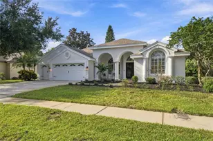 3553 Florian Terrace, Palm Harbor, FL 34685 - Photo 53