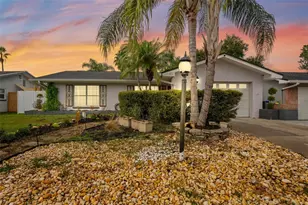 1704 Hibiscus Cir S, Oldsmar, FL 34677 - Photo 1