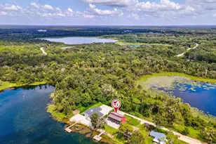 16268 Gator Hole Rd, Odessa, FL 33556 - Photo 67