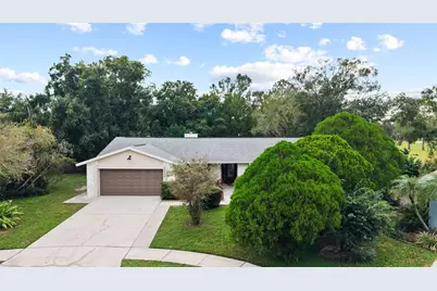 15804 Ironware Place, Tampa, FL 33624 - Photo 5