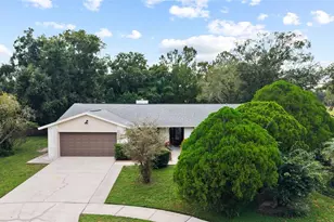 15804 Ironware Pl, Tampa, FL 33624 - Photo 5