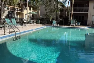 7510 Needle Leaf Pl, Tampa, FL 33617 - Photo 23