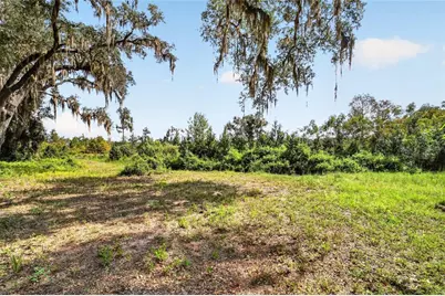 5686 E Highway 316, Citra, FL 32113 - Photo 17
