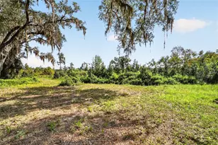 5686 E Hwy 316, Citra, FL 32113 - Photo 17