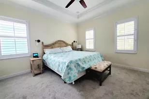 315 Vista Cruiser Ln, Oldsmar, FL 34677 - Photo 15
