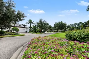 1366 Via Verdi Dr, Palm Harbor, FL 34683 - Photo 5