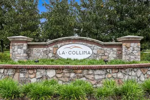 821 Floresta St, Brandon, FL 33511 - Photo 61
