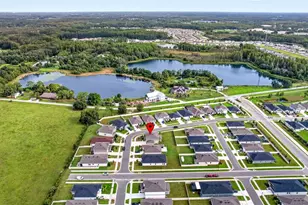 6384 Burning Opal Bend, Land O Lakes, FL 34638 - Photo 49