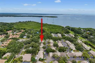 345 Plymouth St, Safety Harbor, FL 34695 - Photo 55