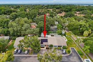345 Plymouth St, Safety Harbor, FL 34695 - Photo 49