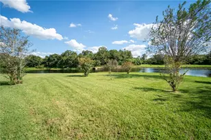 13023 St Filagree Dr, Riverview, FL 33579 - Photo 67