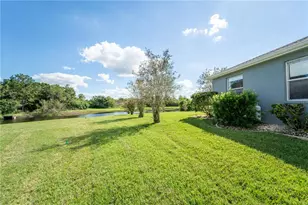13023 St Filagree Dr, Riverview, FL 33579 - Photo 65
