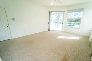 13023 St Filagree Dr, Riverview, FL 33579 - Photo 49