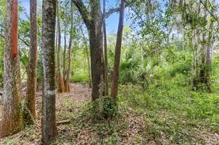 1621 Spinning Wheel Dr, Lutz, FL 33559 - Photo 19
